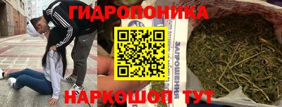 бошки Ставрополь