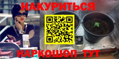 бошки Ставрополь