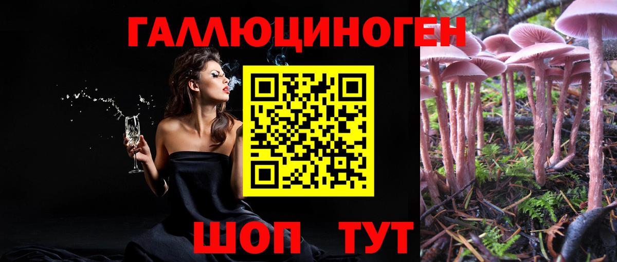 Галлюциногенные грибы Psilocybe Углич
