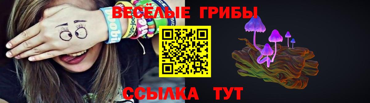 Углич  Псилоцибиновые грибы ЛСД  Вход с VPN  Галлюциногенные грибы MAGIC MUSHROOMS 
